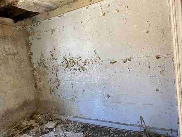 Testing again(63).jpg